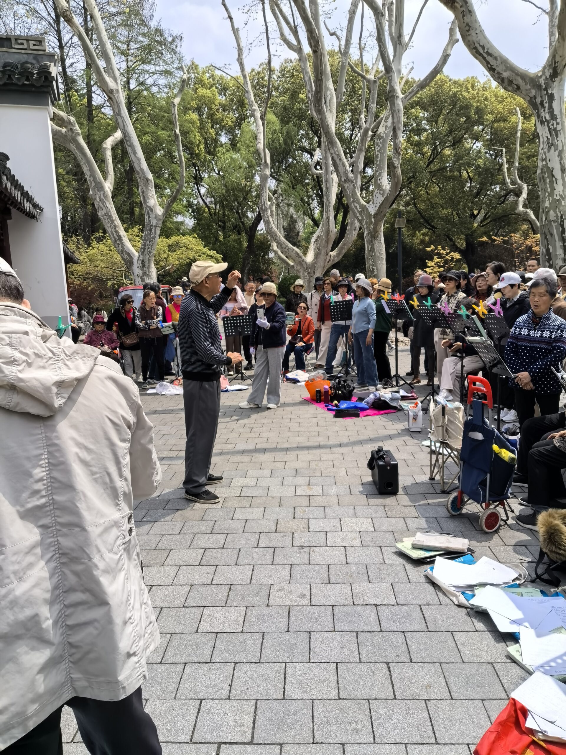 elderly musicians